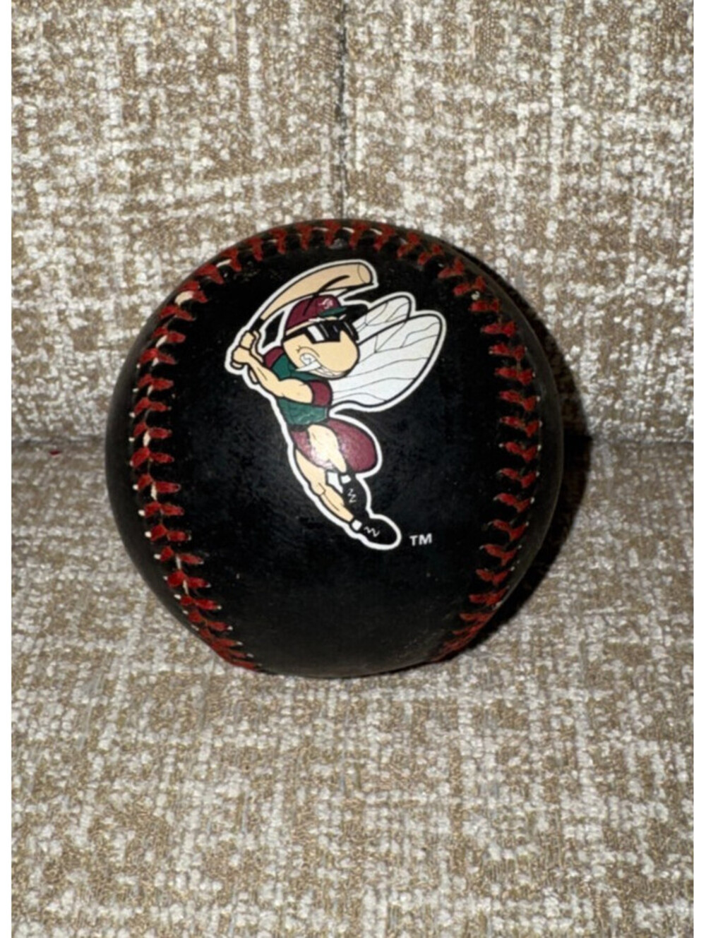 VINTAGE 1990's Savannah Sand Gnats Team Logo Minor League Baseball - See flaws